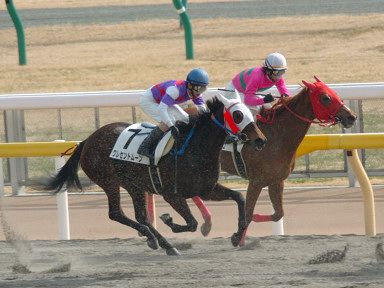 2005/02/05 東京06R