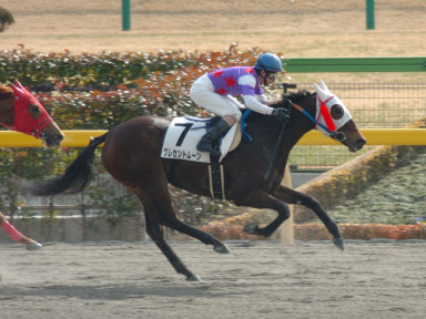2005/02/05 東京06R