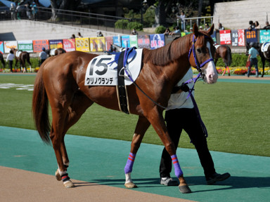 2014/10/16 東京06R