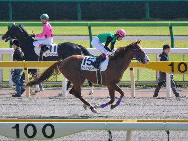 2014/10/16 東京06R
