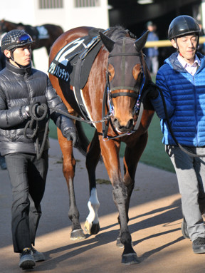 2019/01/13 中山10R