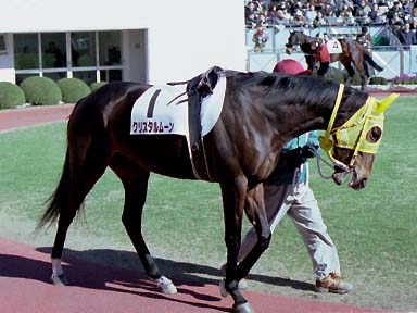 2003/02/01 R08R