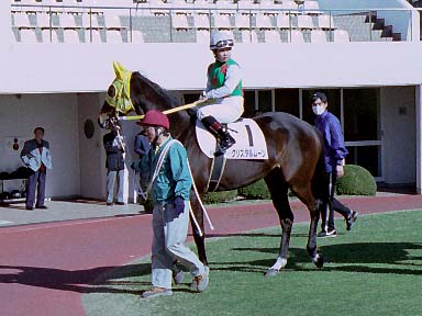 2003/02/01 R08R