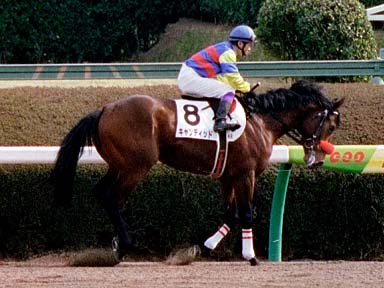 2003/02/08 中山06R
