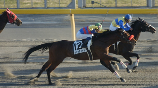 2004/02/15 東京12R