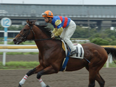 2004/09/23 船橋09R
