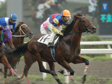 2004/09/23 船橋09R