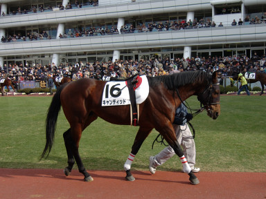 2005/01/10 中山10R