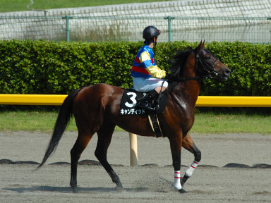 2005/07/23 新潟10R