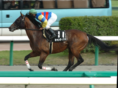2005/09/17 中山10R