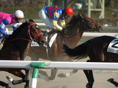 2006/01/09 中山10R