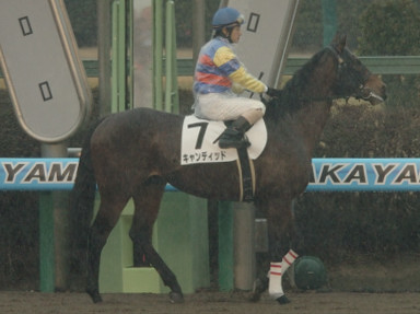 2006/01/14 中山08R