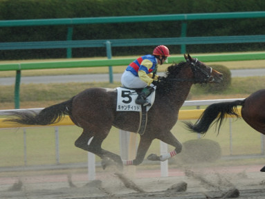 2006/11/18 東京08R