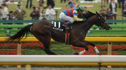 2007/10/14 東京10R D1600