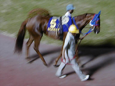 1999/06/15 川崎10R