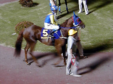 1999/06/15 川崎10R