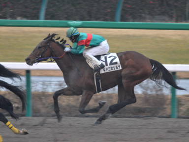 2012/01/21 中山08R
