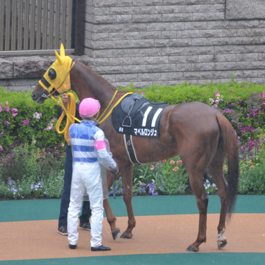 2022/05/01 東京09R