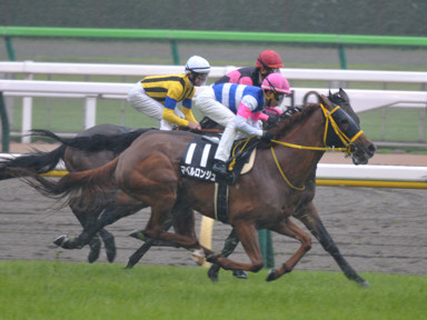 2022/05/01 東京09R