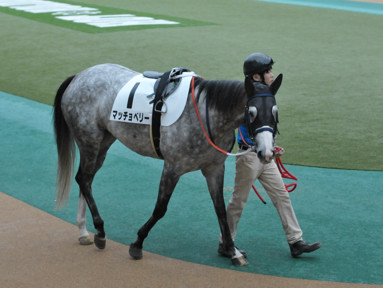 2019/10/19 ����07R