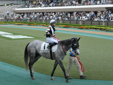 2019/10/19 ����07R