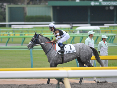 2019/10/19 ����07R