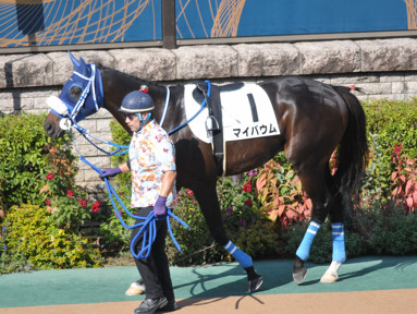 2022/10/23 東京08R