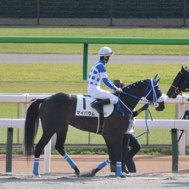 2022/10/23 東京08R