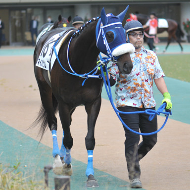 2022/11/13 東京07R