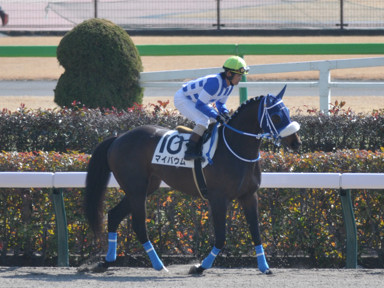 2023/02/18 東京07R
