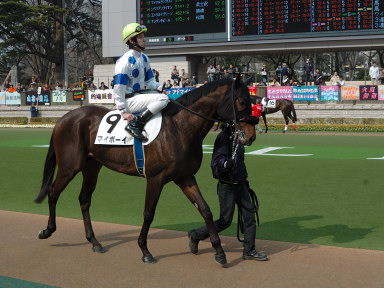 2007/02/10 東京07R