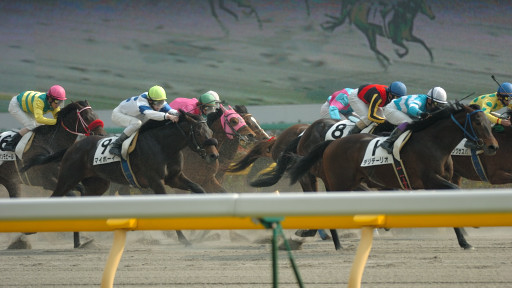 2007/02/10 東京07R