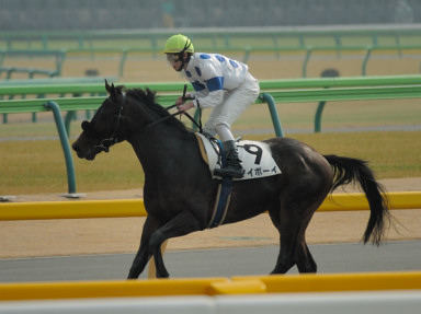 2007/02/10 東京07R