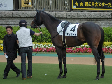 2008/05/11 東京07R