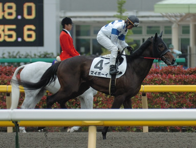 2008/05/11 東京07R