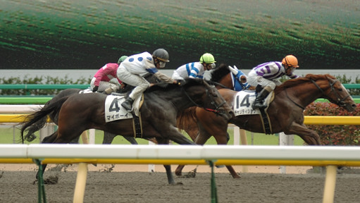 2008/05/11 東京07R