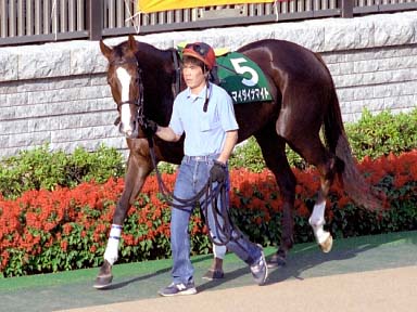 2003/10/19 東京11R