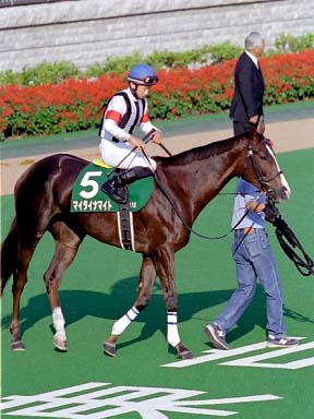 2003/10/19 東京11R