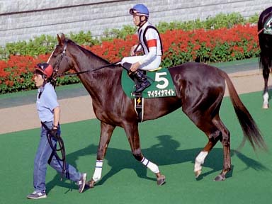 2003/10/19 東京11R