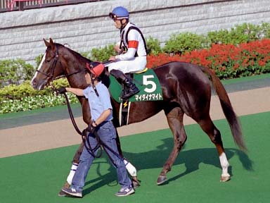2003/10/19 東京11R