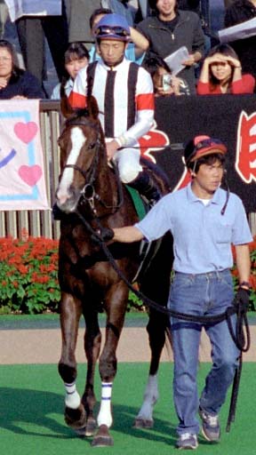 2003/10/19 東京11R