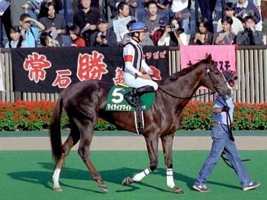 2003/10/19 東京11R