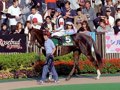 2003/10/19 東京11R