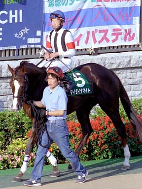 2003/10/19 東京11R