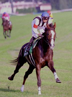 2003/10/19 東京11R