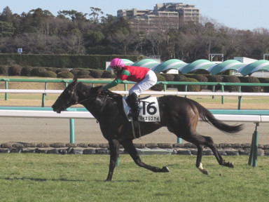 2019/01/19 中山07R