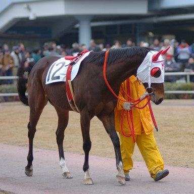 2005/01/26 川崎06R