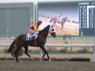 2005/01/26 川崎06R