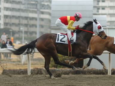 2005/01/26 川崎06R