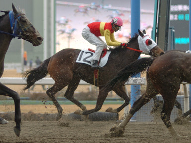 2005/01/26 川崎06R
